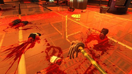 Viscera Cleanup Detail: Shadow Warrior (2013) PC | Лицензия